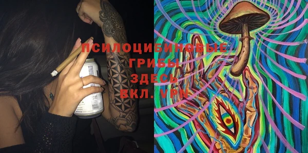 тгк Гатчина