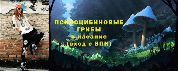 дурь Лабытнанги