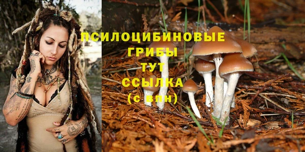 spice Лагань