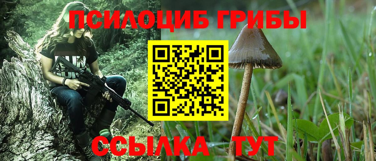 Псилоцибиновые грибы Cubensis  Псилоцибиновые грибы мухоморы  Ленинск-Кузнецкий  Вход с VPN 